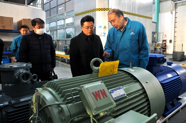 圖為管兵正在向省科技廳領導介紹皖南電機產品